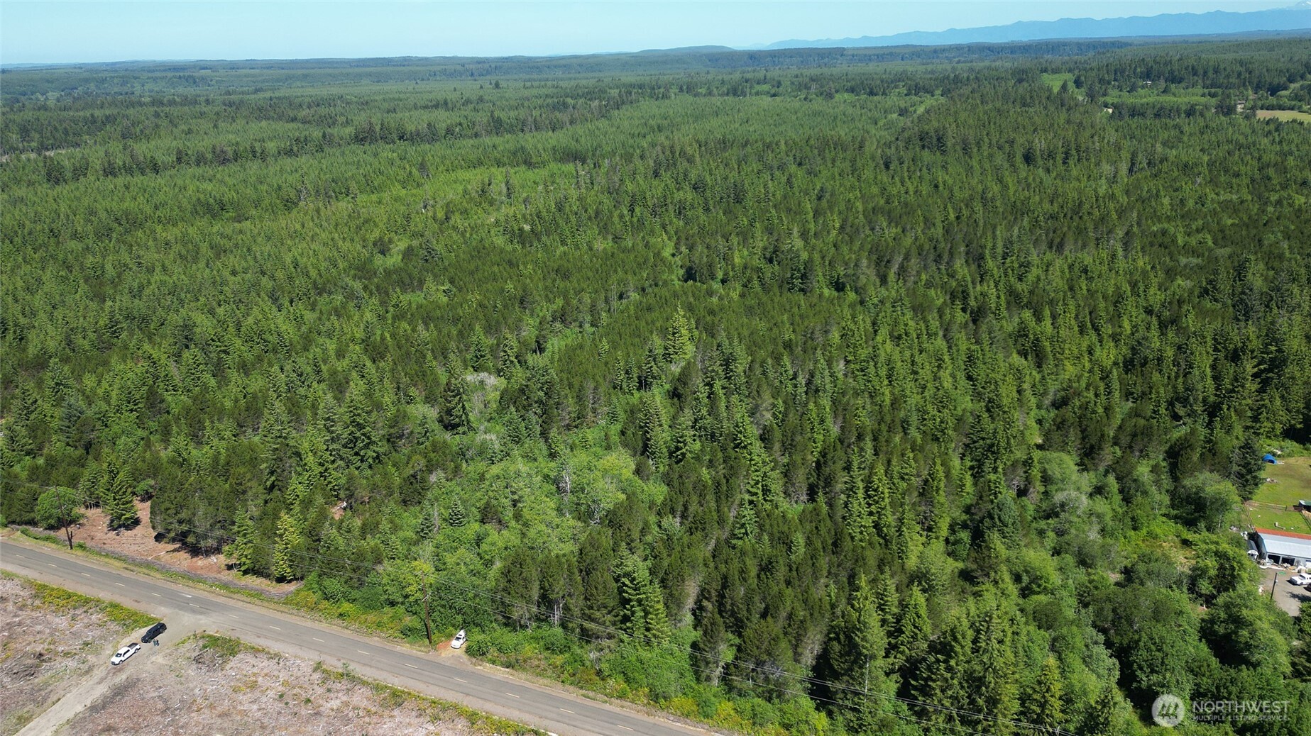 256 Walker Road Hoquiam, WA 98550 - Photo 15 of 19 a view of a green field with lots of bushes