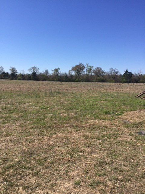2881 Piper Road Ridge Spring, SC 29129 - Photo 18 of 21
