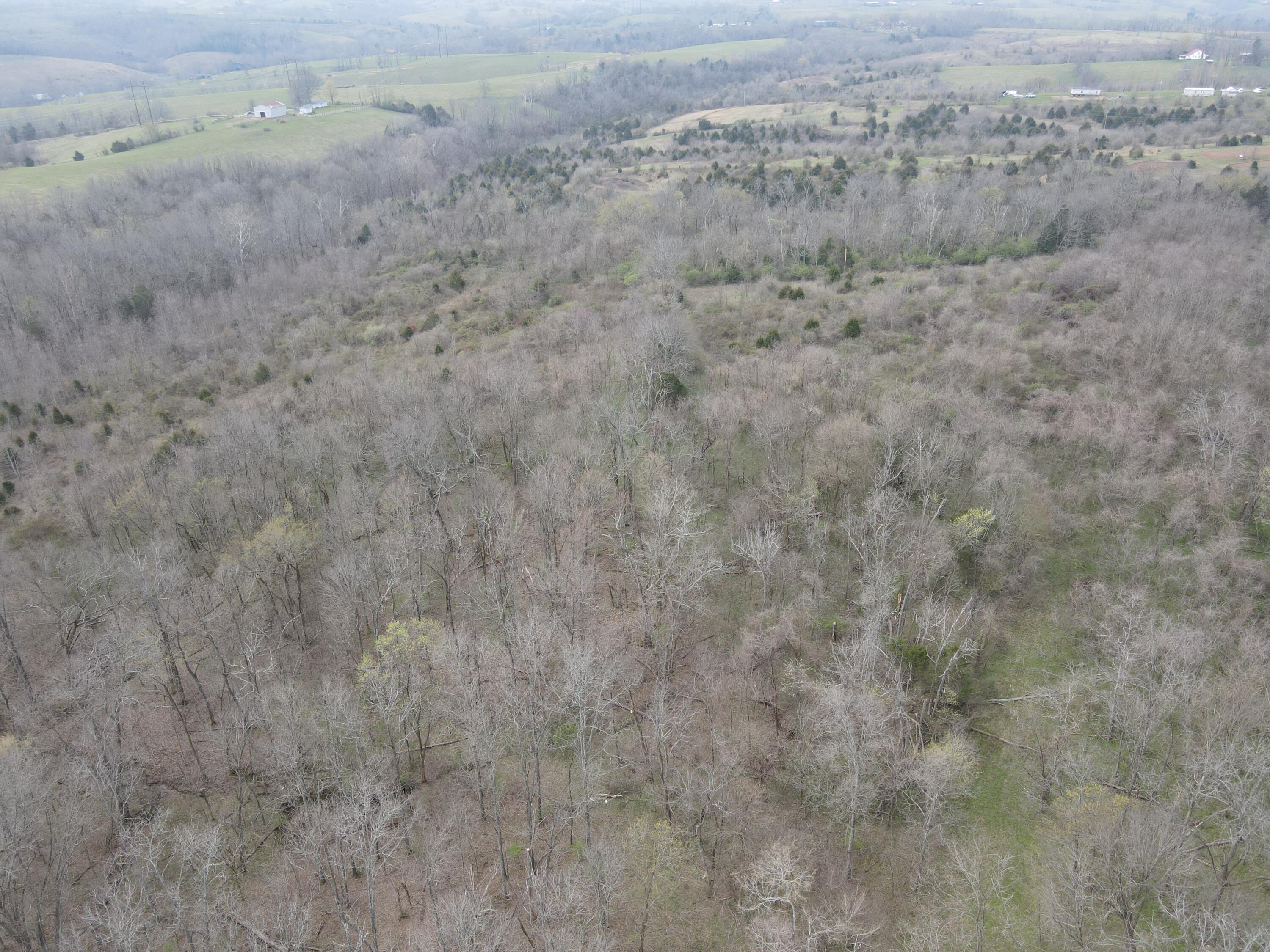 45 Jack Black Road Lancaster, KY 40444 - Photo 56 of 58 E31132F7-EA54-48E3-9A04-1DC33220E729