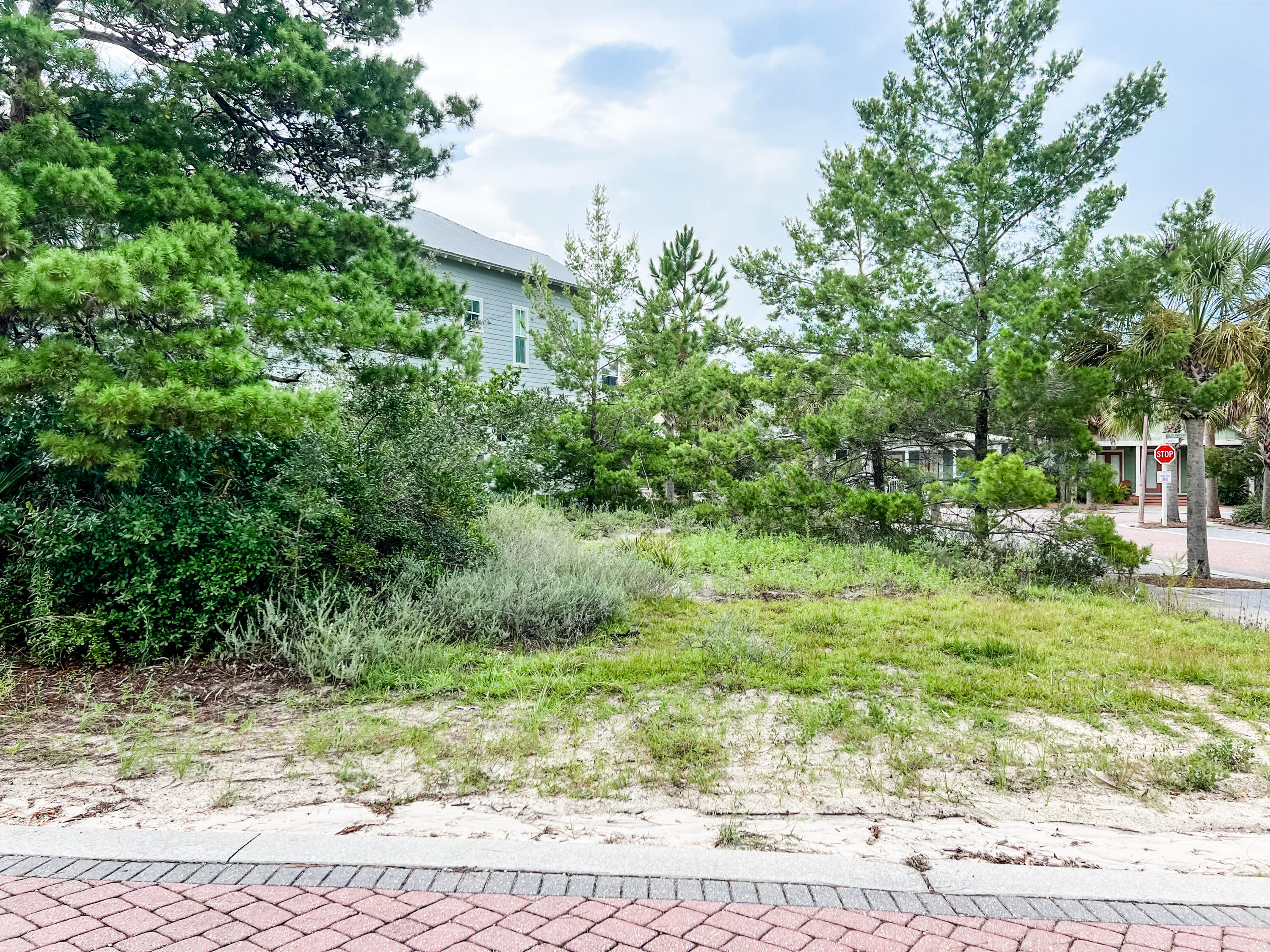 Lot 16 Endless Summer Way Inlet Beach Inlet Beach, FL 32461 - Photo 1 of 6 a view of a yard