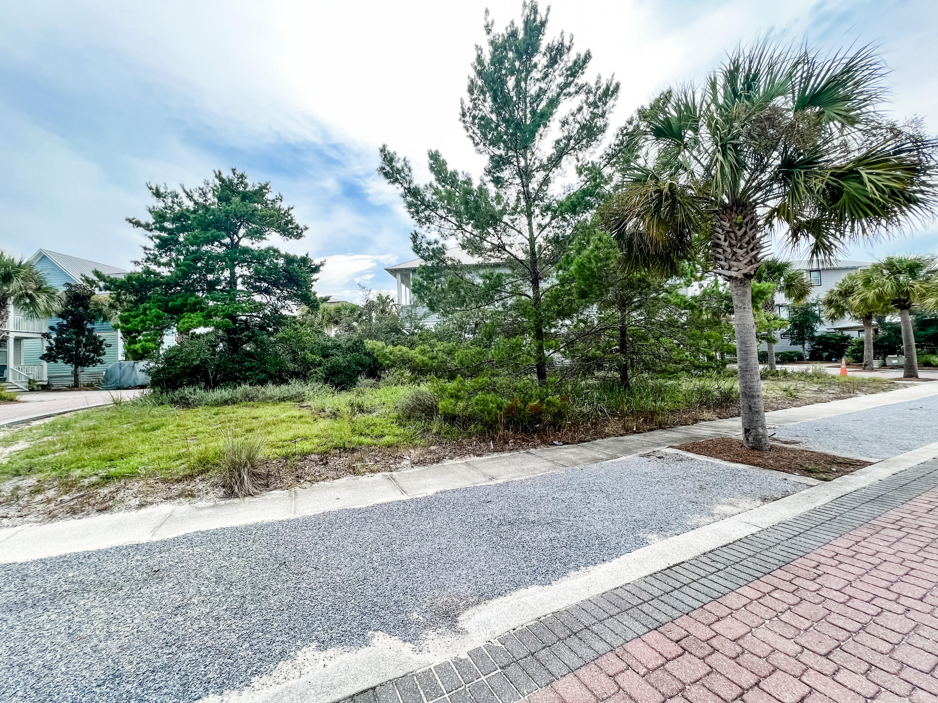 Lot 16 Endless Summer Way Inlet Beach Inlet Beach, FL 32461 - Photo 2 of 6 a view of a yard with plants