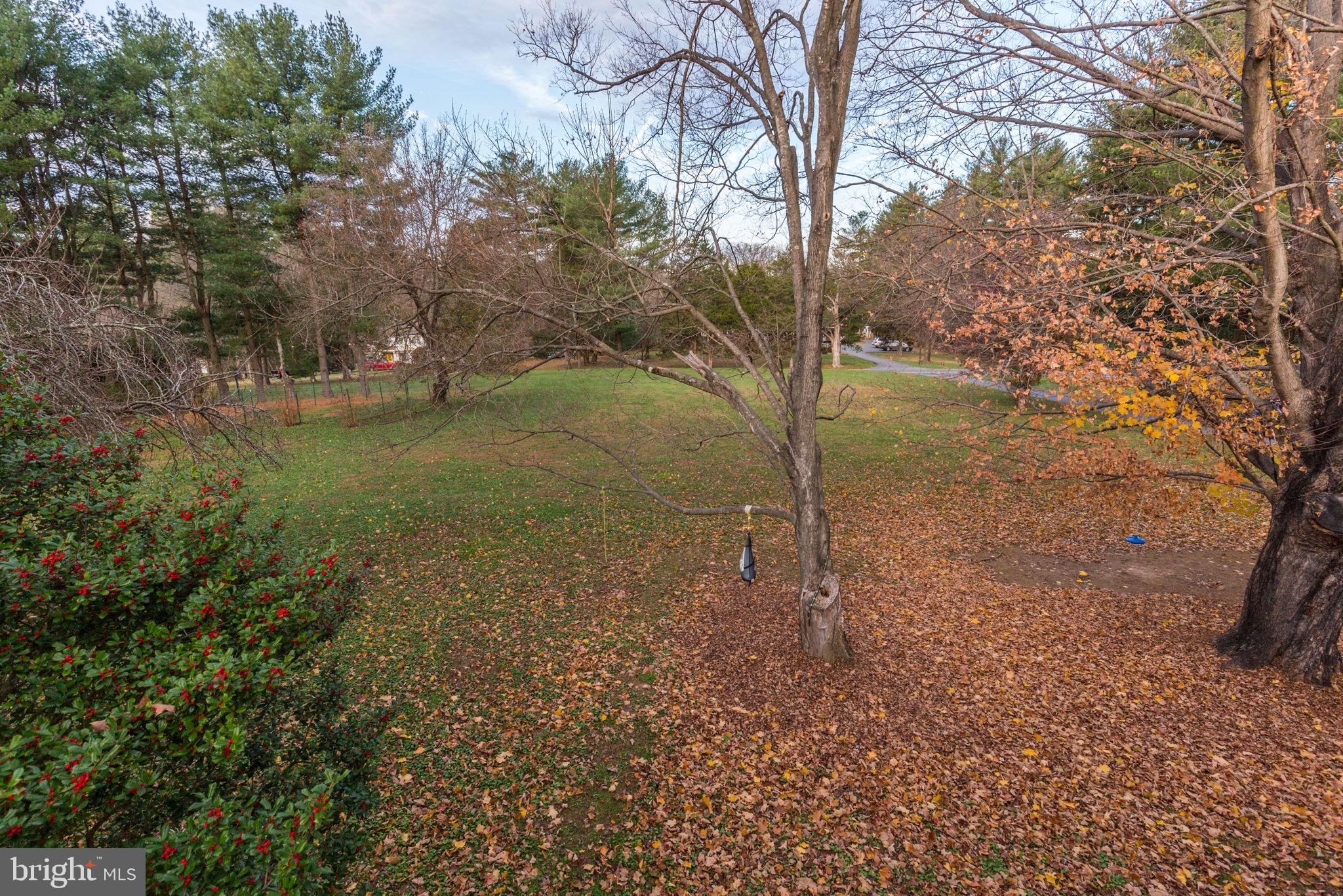 20811 Goshen Road Gaithersburg, MD 20882 - Photo 83 of 85 Gallery Image 83