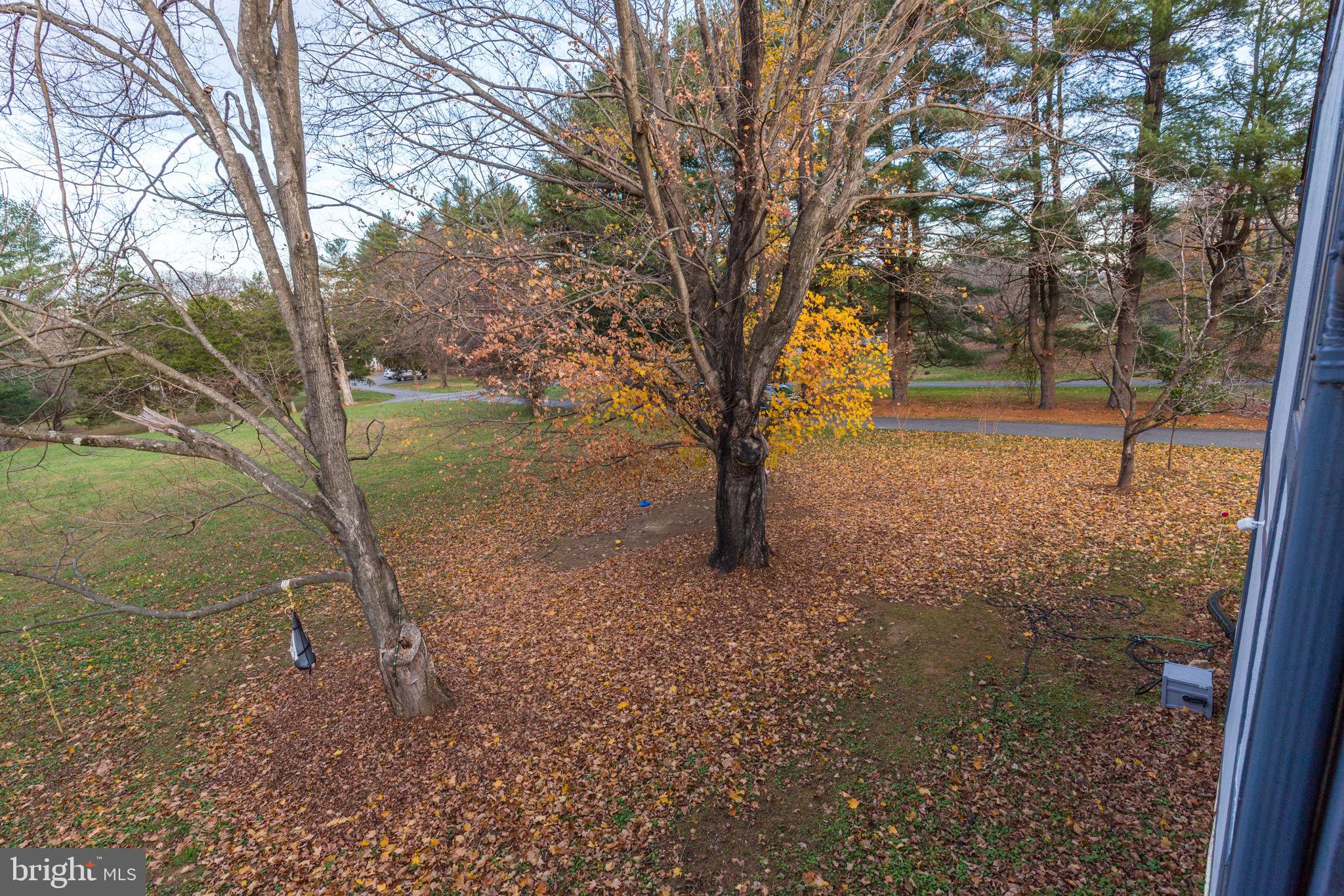 20811 Goshen Road Gaithersburg, MD 20882 - Photo 84 of 85 Gallery Image 84