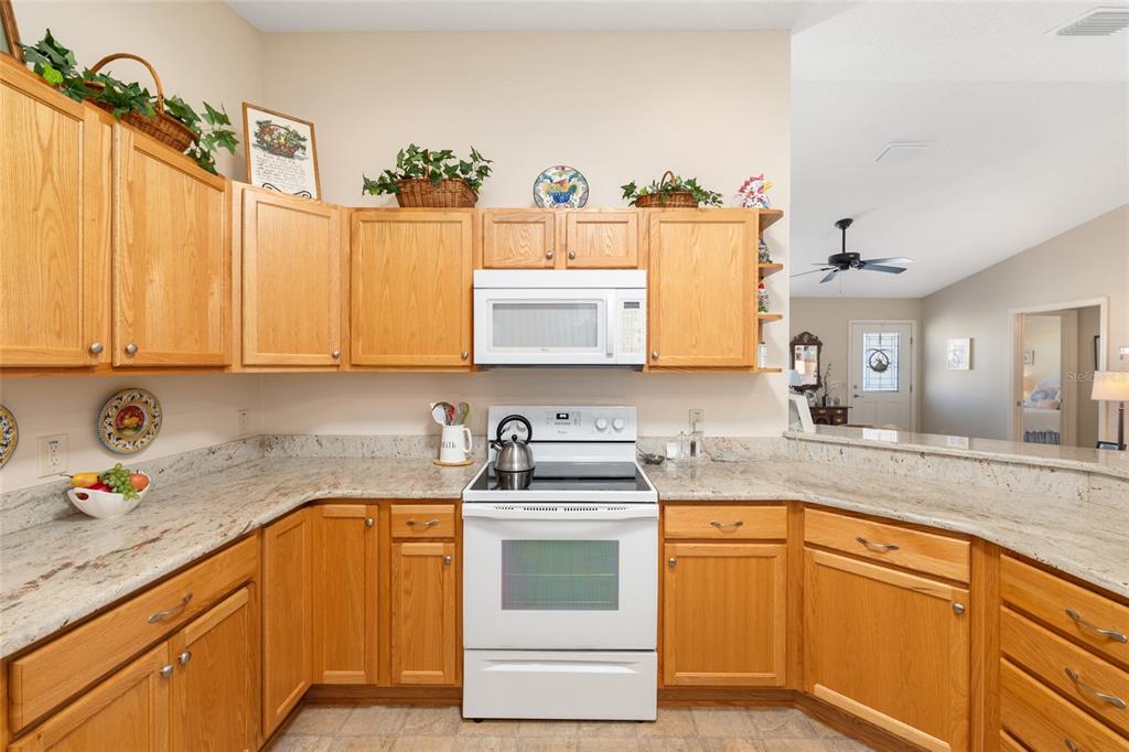 771 Fenwick Loop The Villages, FL 32163 - Photo 21 of 51 a kitchen with granite countertop a sink stainless steel appliances and cabinets