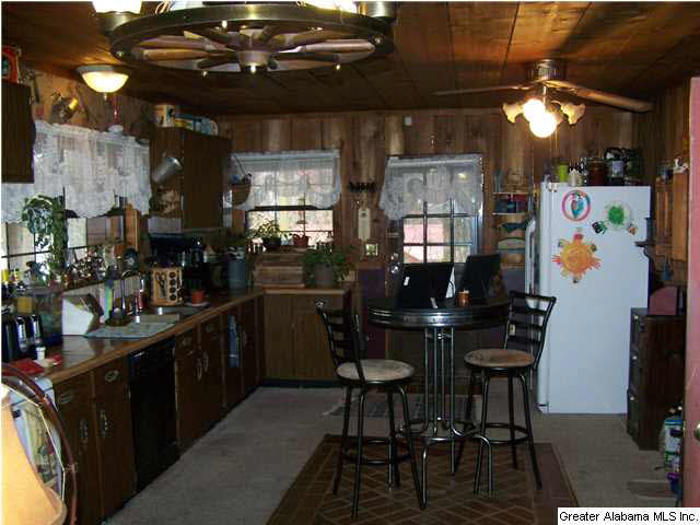 193 Coosa View Lane Riverside, AL 35135 - Photo 10 of 23