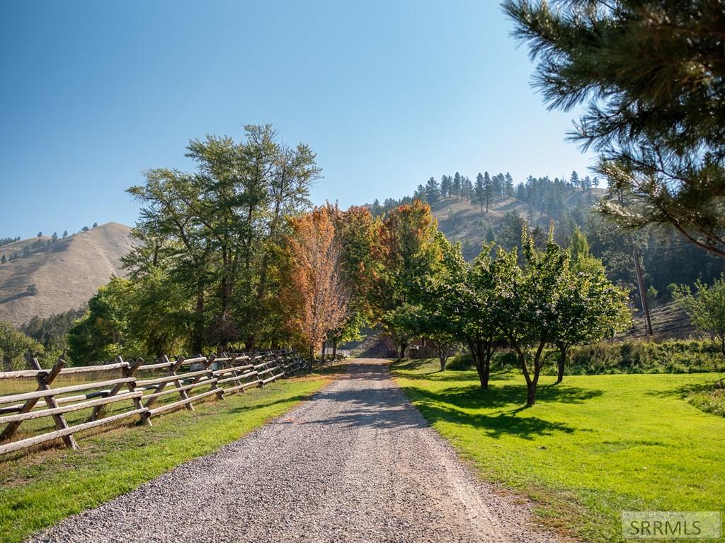 261 4th Of July Creek Road North Fork, ID 83466 - Photo 73 of 100