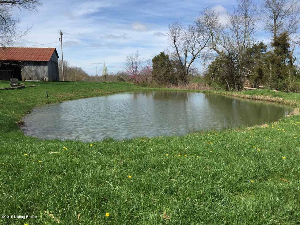 1560 Cedarmore Road Bagdad, KY 40003 - Photo 38 of 52 View of Pond on Property
