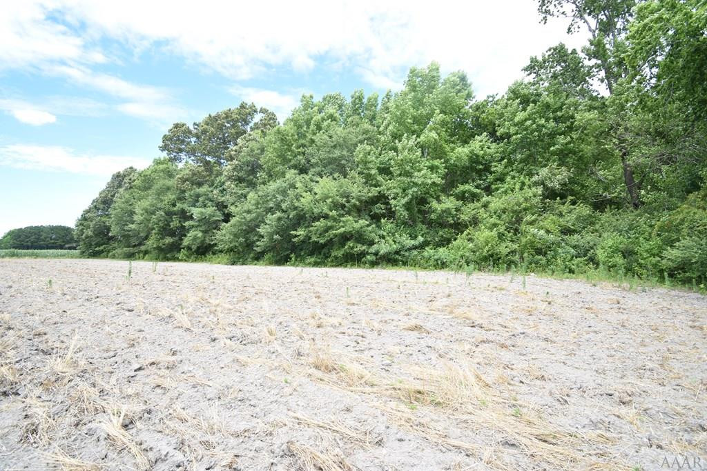 1469 Turnpike Road Elizabeth City, NC 27909 - Photo 19 of 22 Acreage View 1