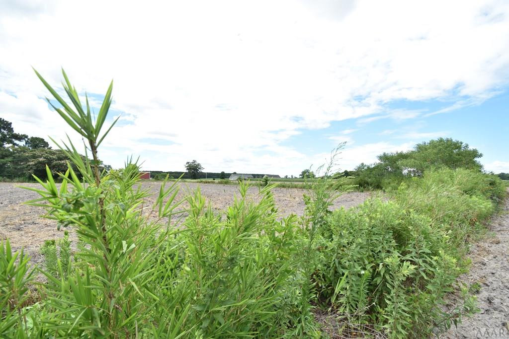 1469 Turnpike Road Elizabeth City, NC 27909 - Photo 21 of 22 Acreage View 3