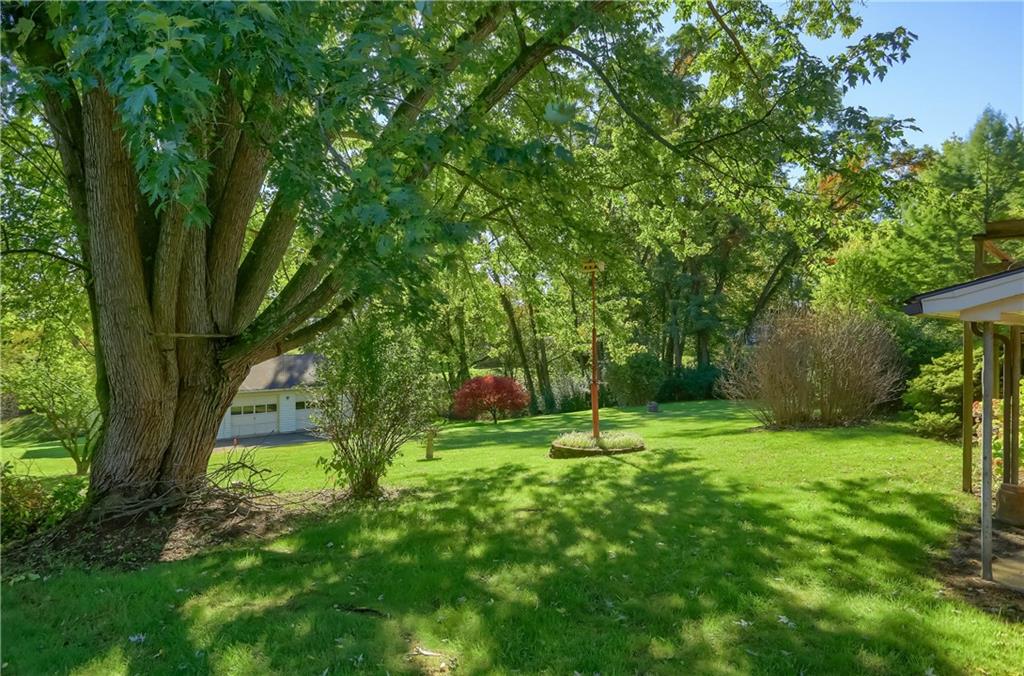 4126 Henderson Road Hickory, PA 15340 - Photo 24 of 25 a big yard with lots of green space and trees
