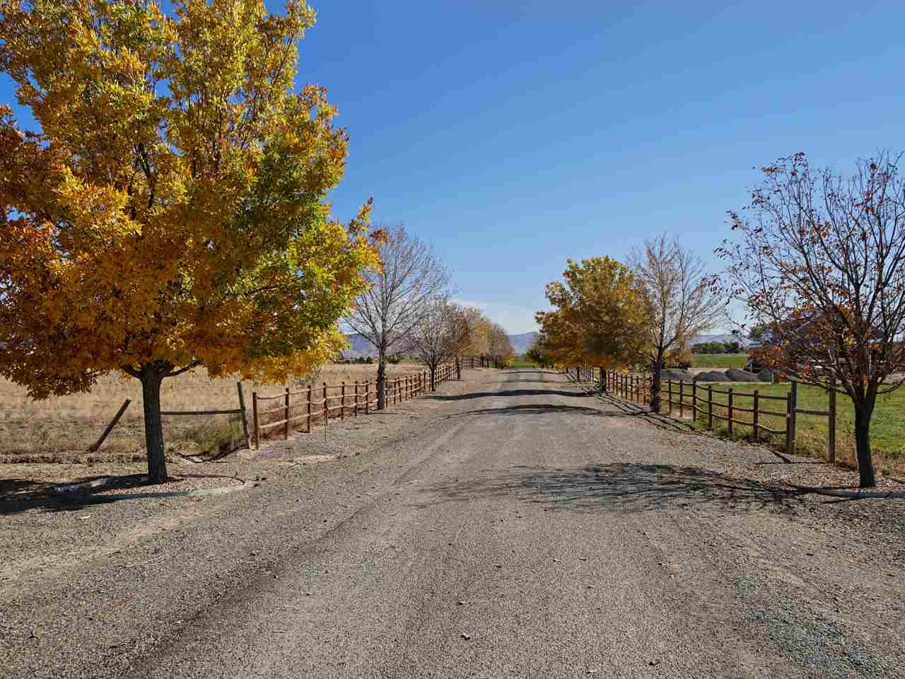 1421 19 Road Fruita, CO 81521 - Photo 14 of 36 a view of road and trees