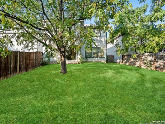 a garden with trees in front of it