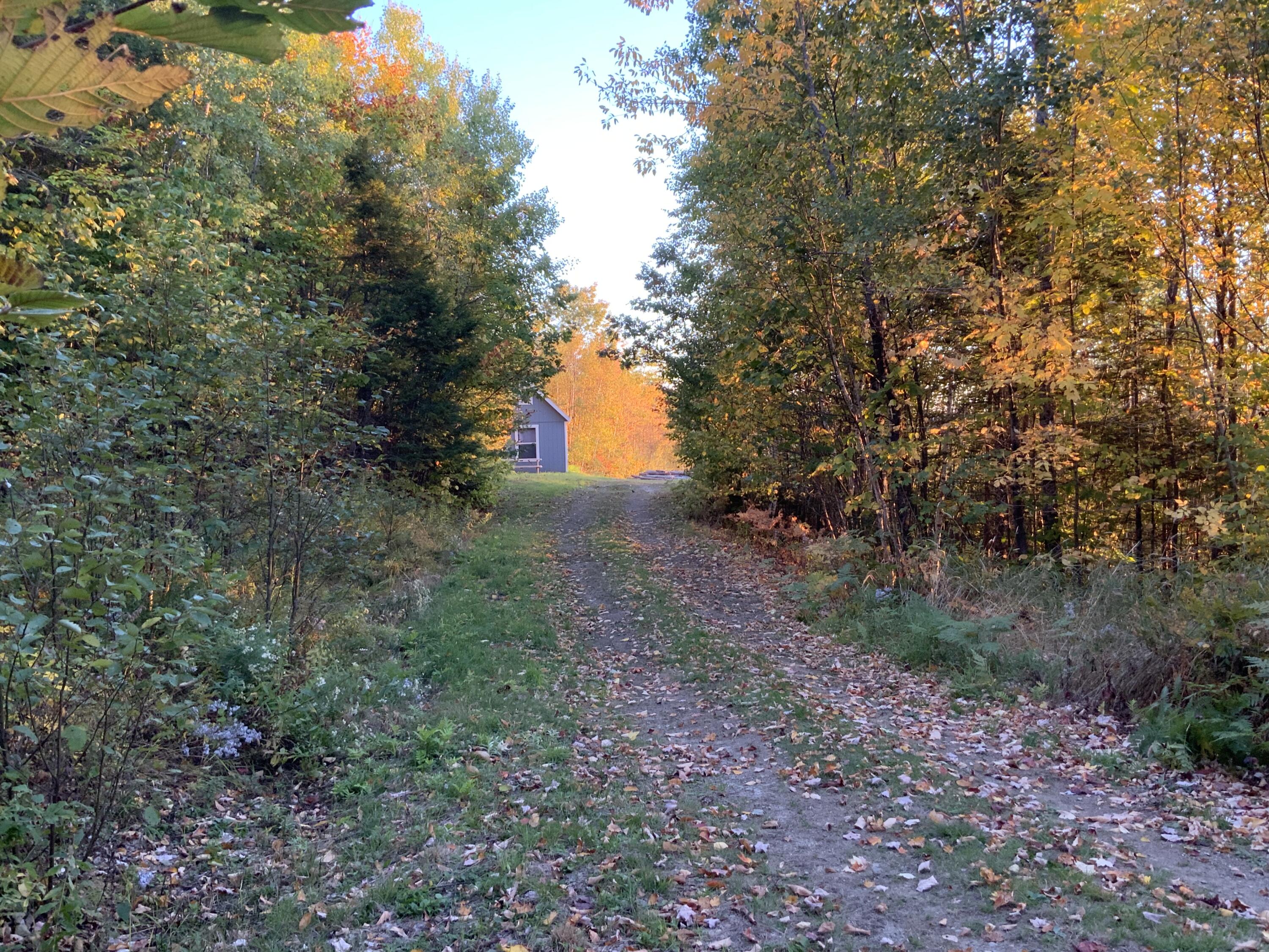 19 Bear Lane Rumford, ME 04276 - Photo 22 of 83 IMG_9298