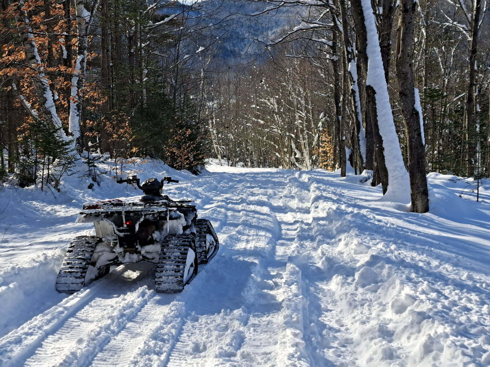 19 Bear Lane Rumford, ME 04276 - Photo 50 of 83 image000000
