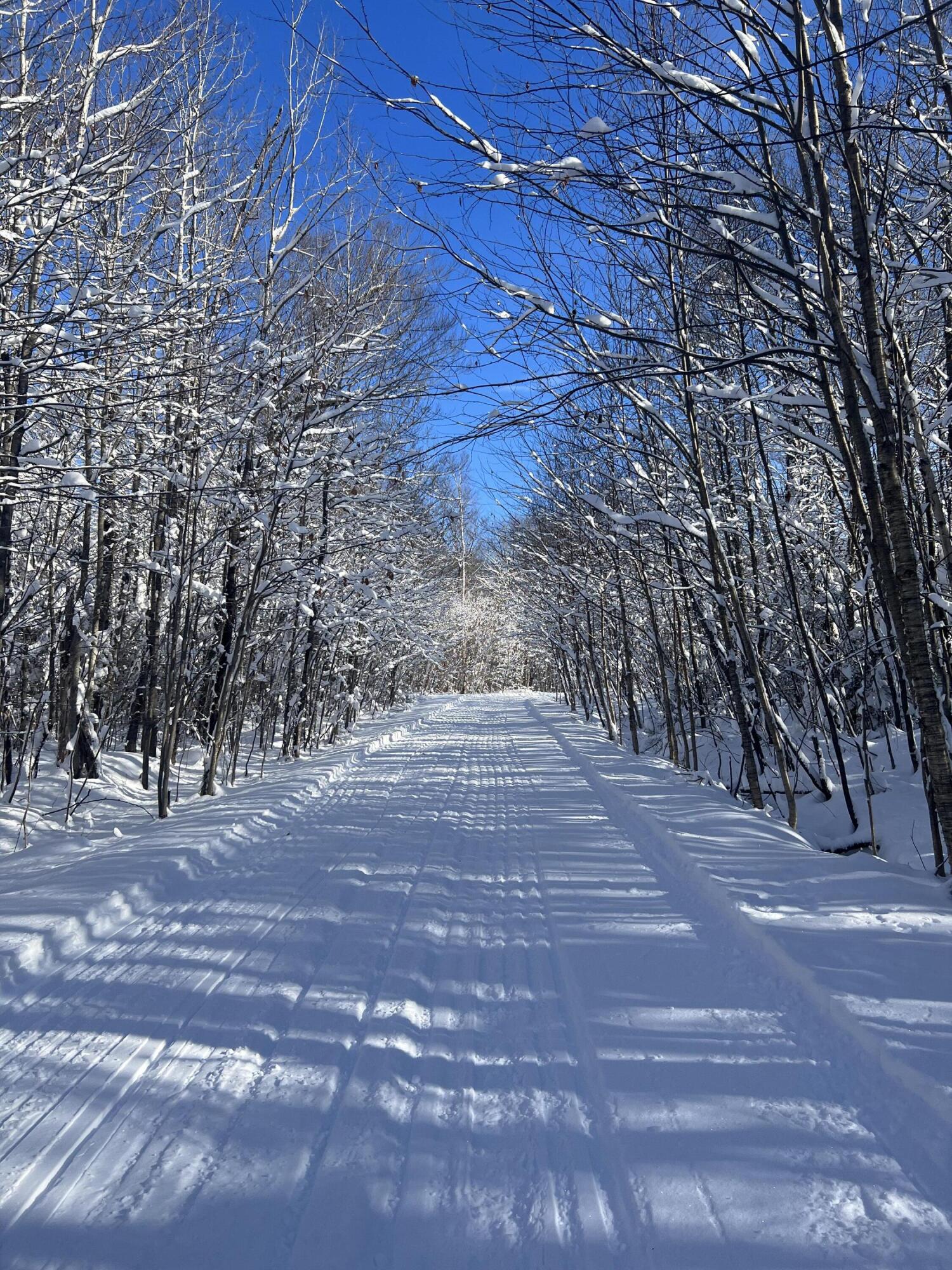 19 Bear Lane Rumford, ME 04276 - Photo 64 of 83 IMG_2929
