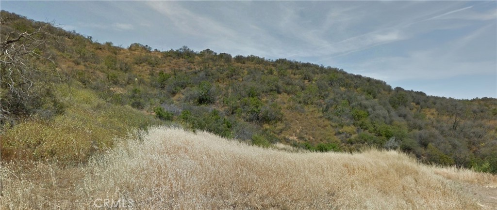 a view of a field with a tree in the background