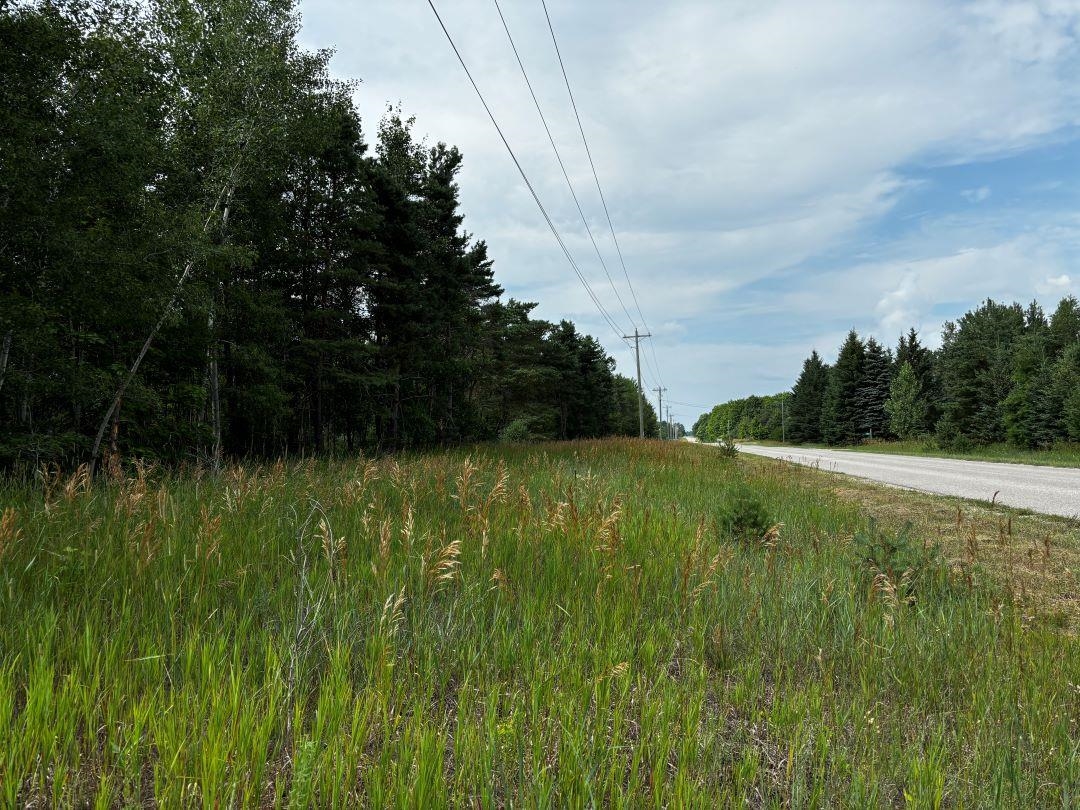 G Bailey Road, Unit LOT: G Mancelona, MI 49659 - Photo 3 of 8 Gallery Image 3
