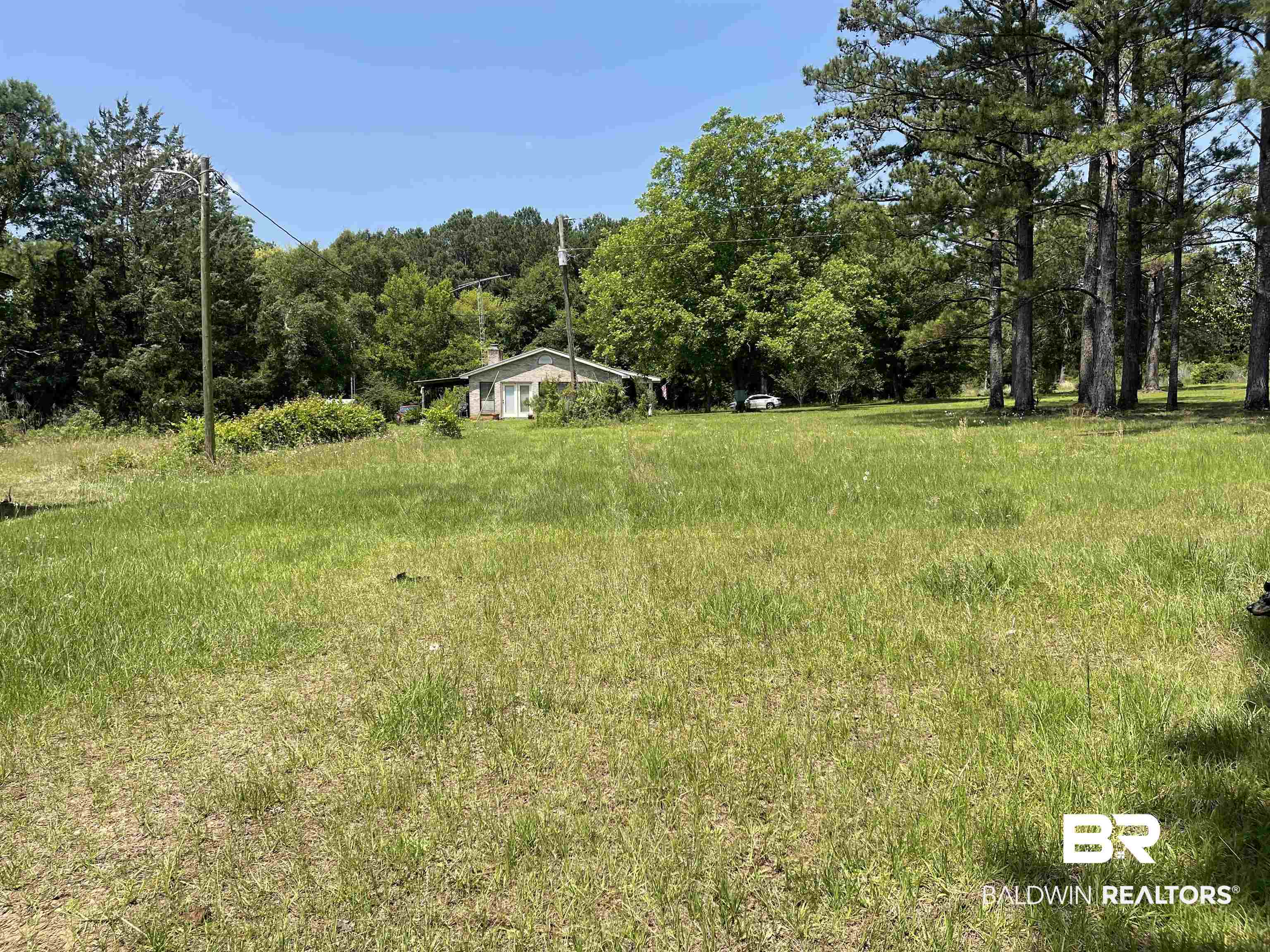 12150 County Road 17 Franklin, AL 36444 - Photo 7 of 23
