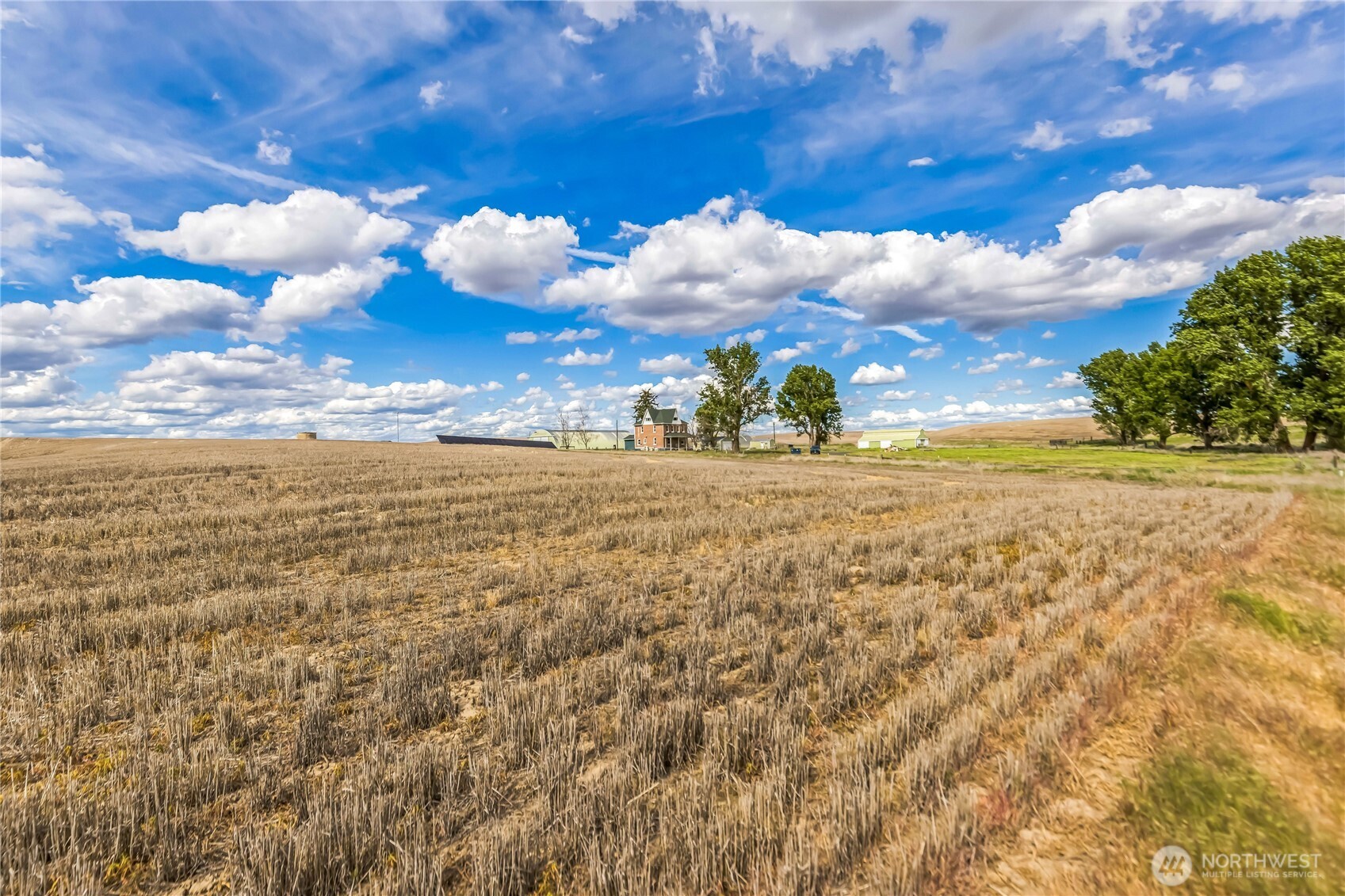 8495 Williams Road East Wilbur, WA 99185 - Photo 29 of 29 Gallery Image 29