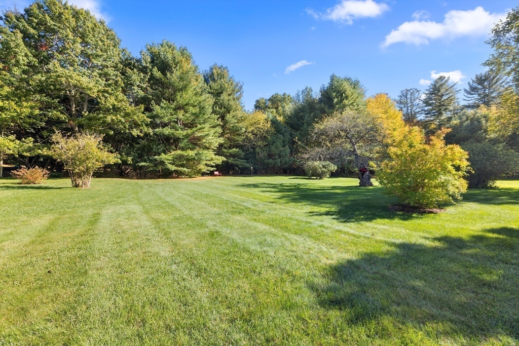 6 Rachael's Lane Duxbury, MA 02332 - Photo 33 of 42 a view of a grassy field with trees