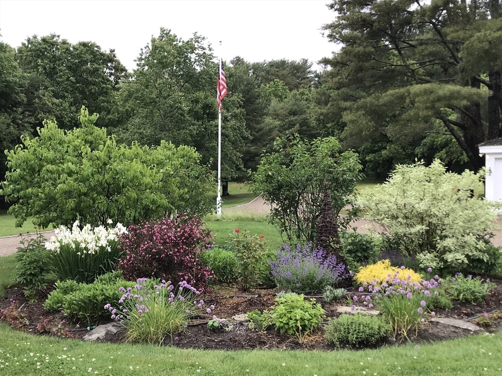 6 Rachael's Lane Duxbury, MA 02332 - Photo 38 of 42 a view of a garden with flowers