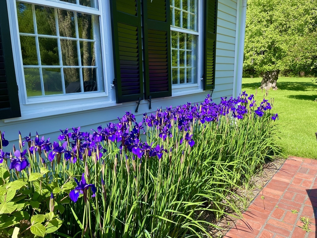 6 Rachael's Lane Duxbury, MA 02332 - Photo 39 of 42 a flower garden in front of a house