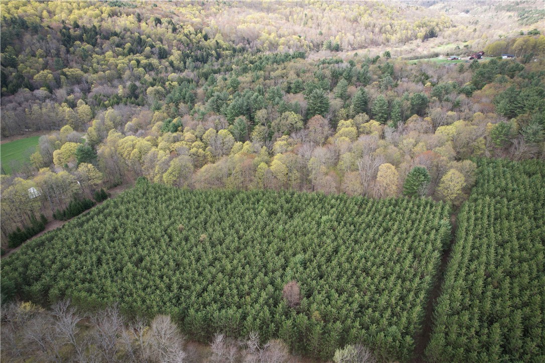 West Creek Road Richford, NY 13835 - Photo 22 of 44