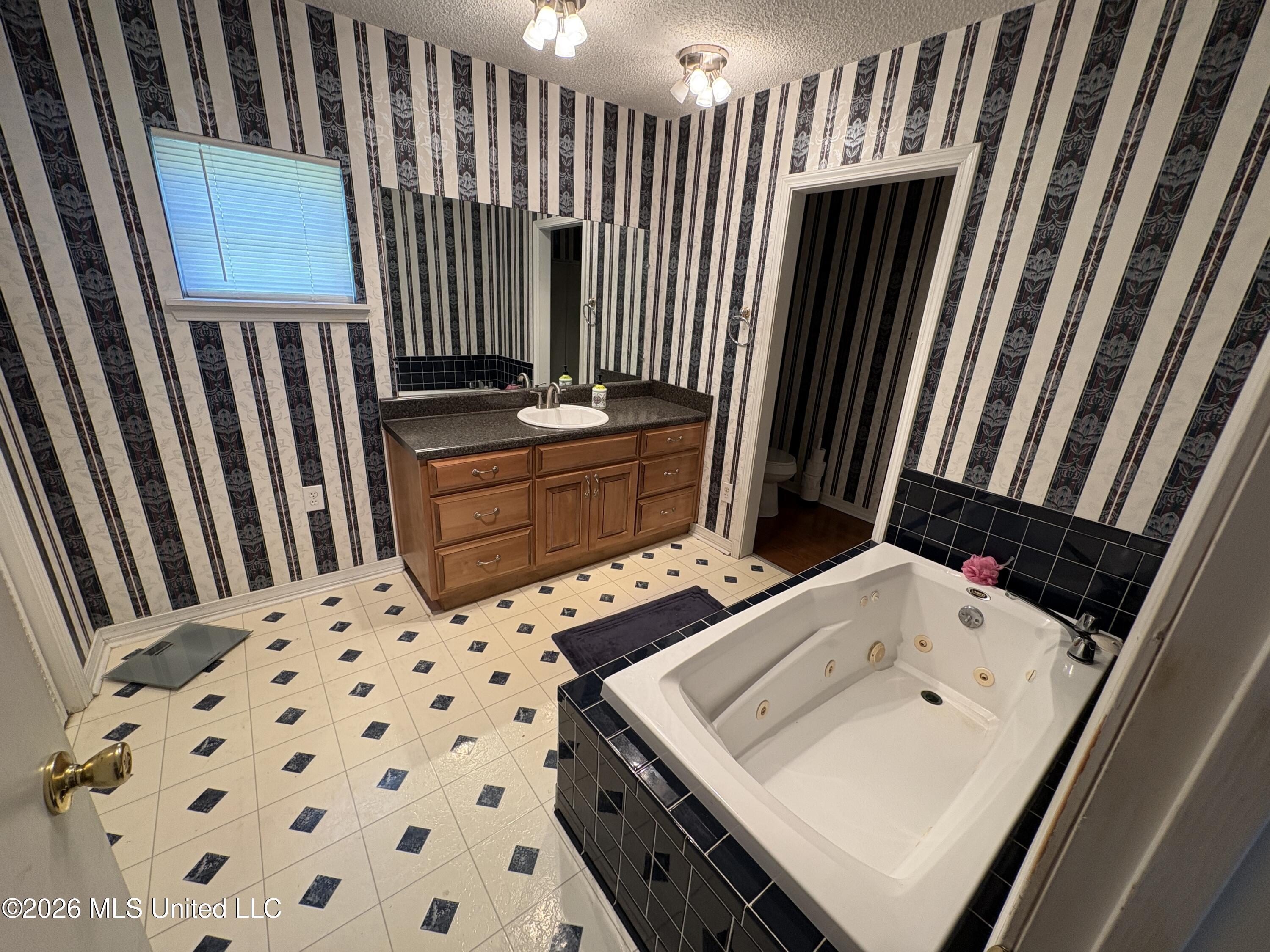 13704 Coleman Street Moss Point, MS 39562 - Photo 25 of 50 Primary Jet Tub