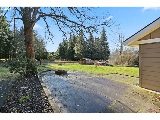 a view of a park with entertaining space