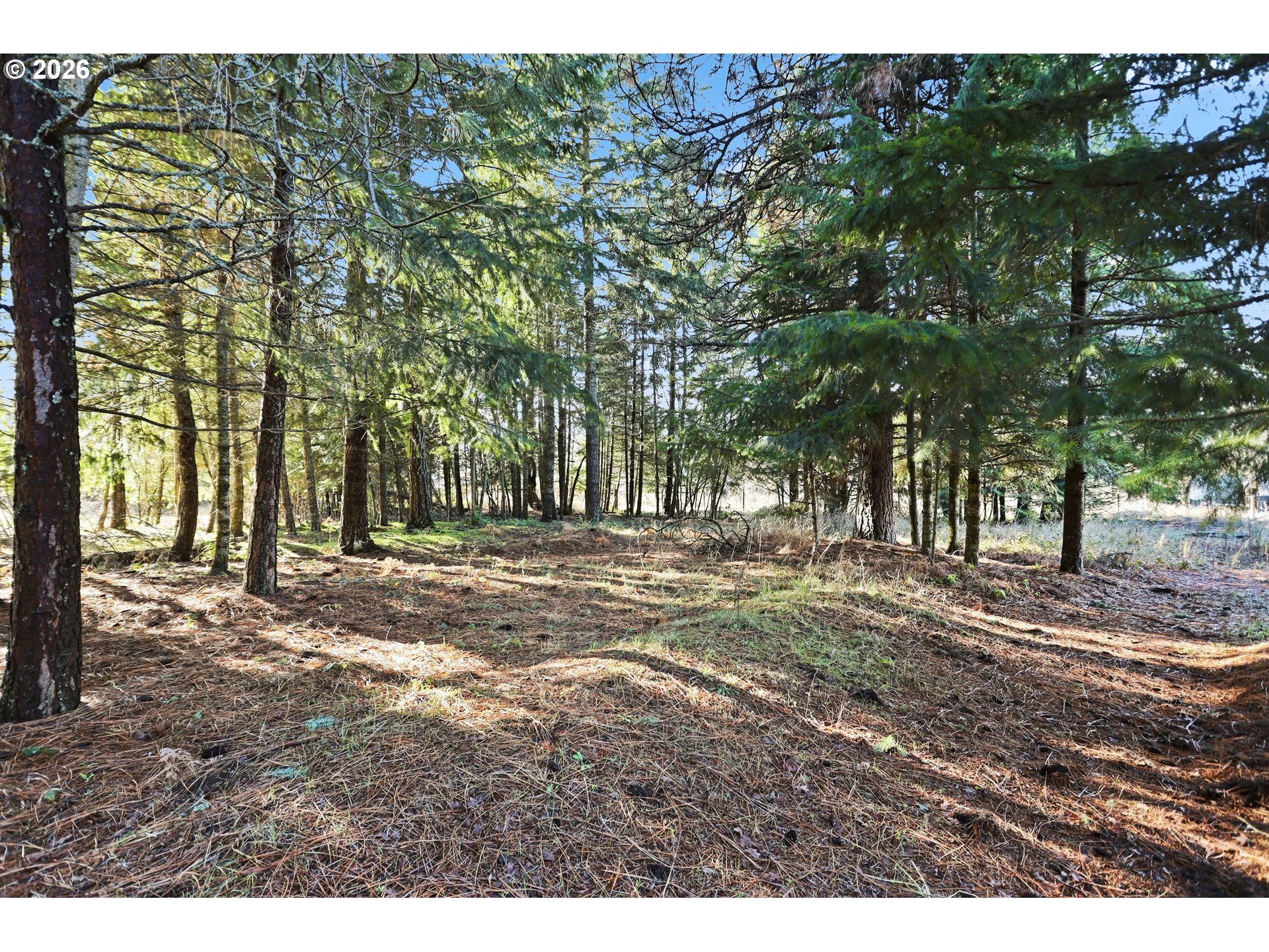 6145 Bailey Road Mount Hood Parkdale, OR 97041 - Photo 33 of 38