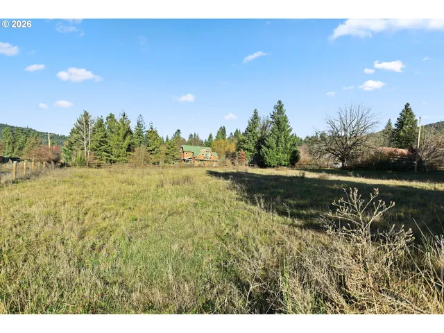 a view of a back yard of the house