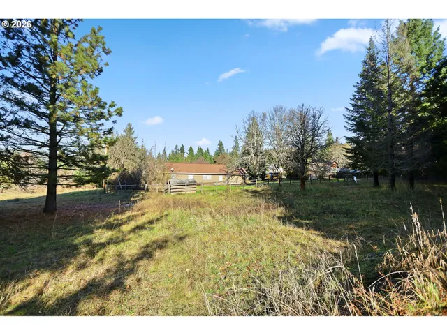 a view of a dry yard with wooden fence