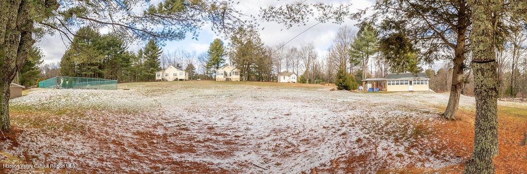 a view of a yard with trees