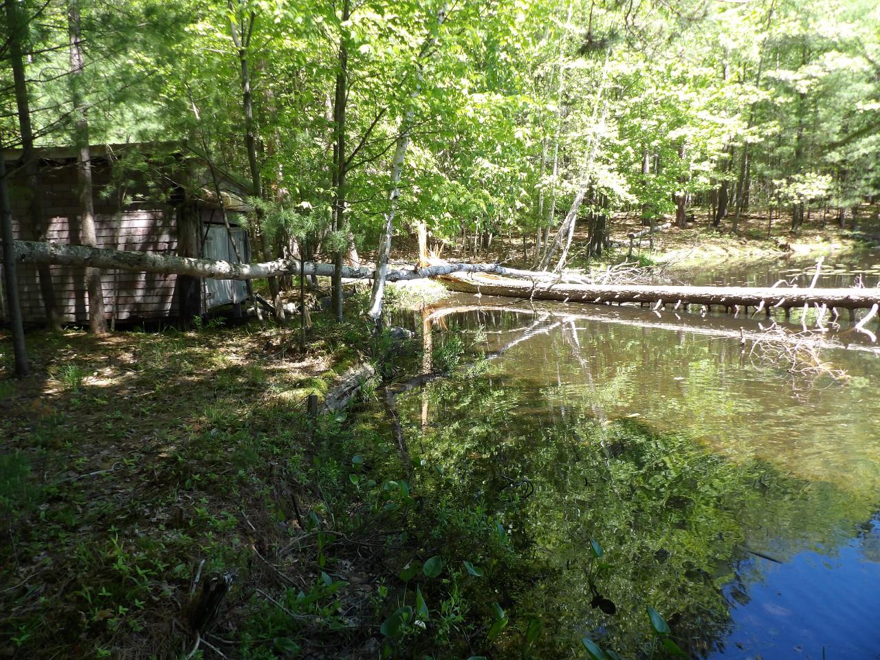4051 Bass Lake Loop Rhinelander, WI 54501 - Photo 13 of 30 Gallery Image 13