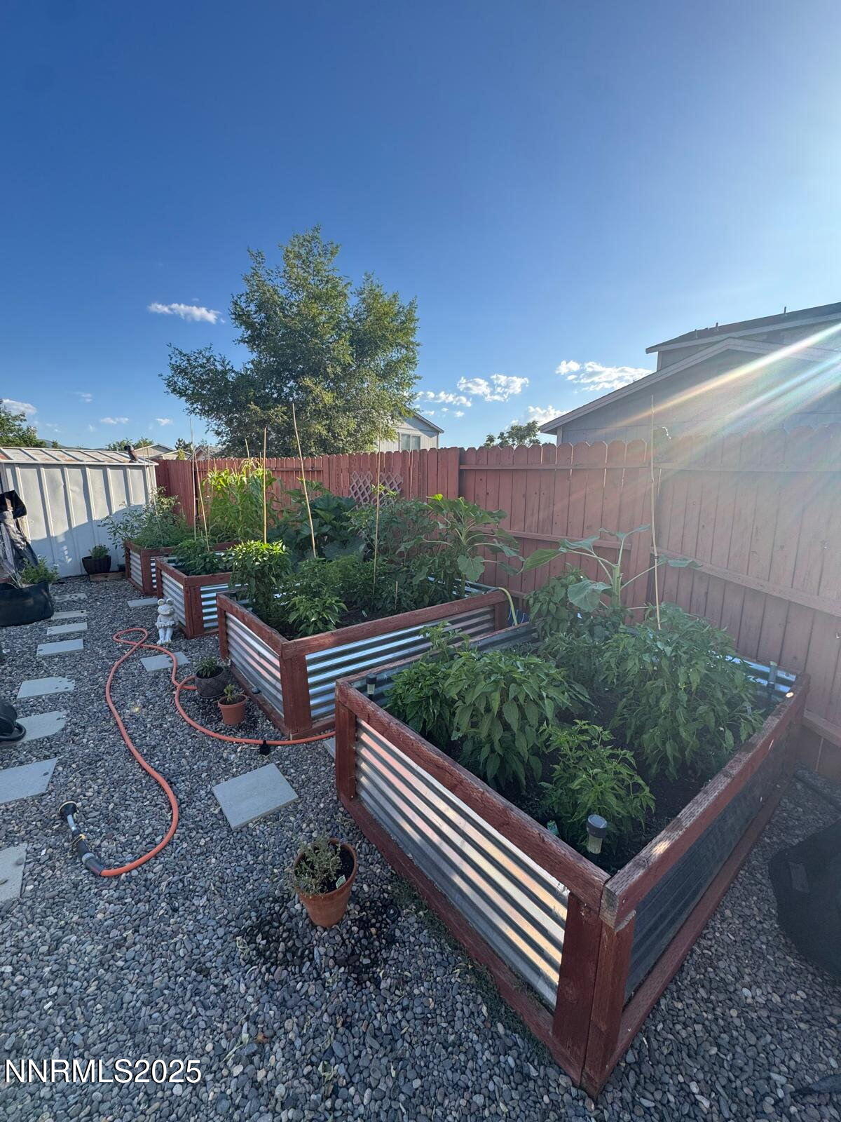 17702 Clear Springs Court Reno, NV 89508 - Photo 40 of 41 a view of a backyard with plants and wooden fence
