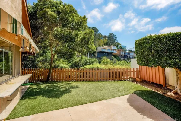 a view of a yard with plants and a fountain