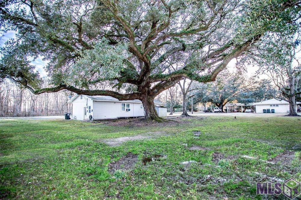 41346 Churchpoint Road Gonzales, LA 70737 - Photo 12 of 13