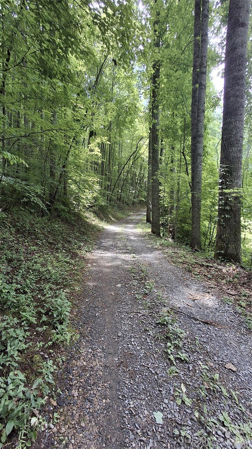 0 Dry Creek Road Robbinsville, NC 28771 - Photo 13 of 20