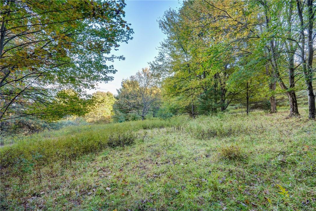 4-5 Plank Road Beach Lake, PA 18405 - Photo 1 of 1 Gallery Image 1