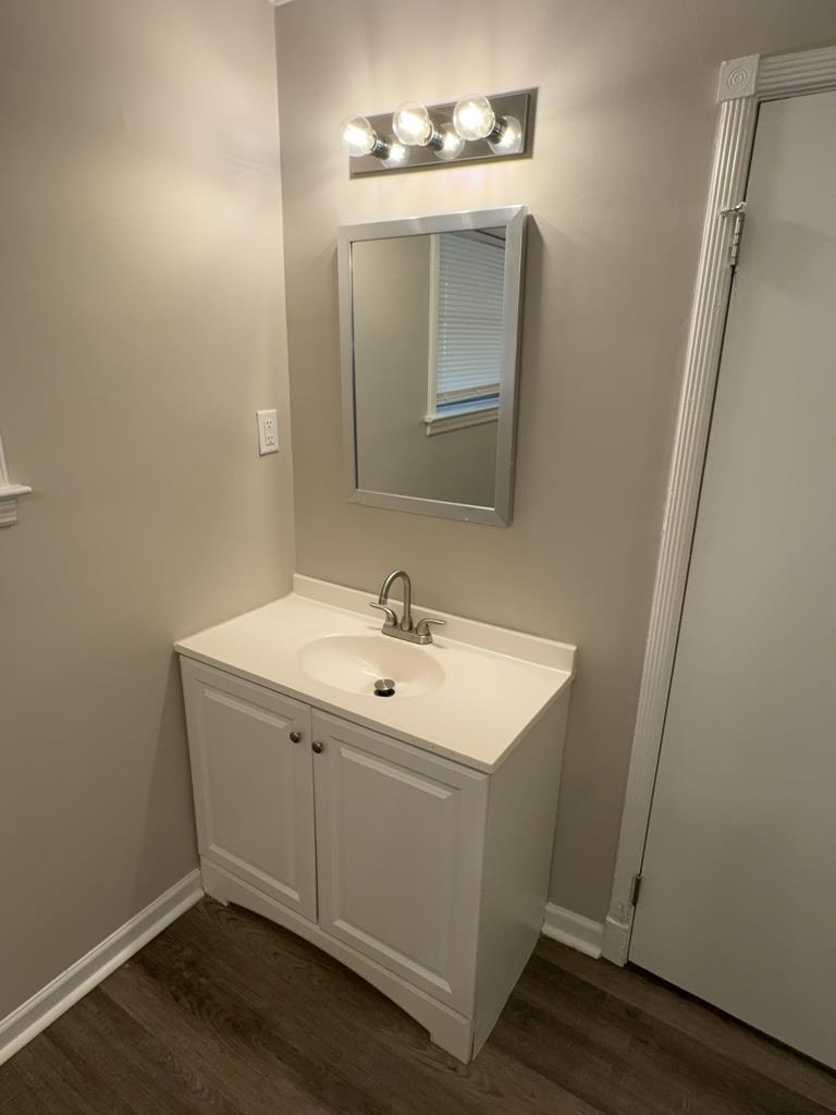 1328 Old Hickory Road Memphis, TN 38116 - Photo 11 of 11 Bathroom featuring vanity and dark wood finished floors