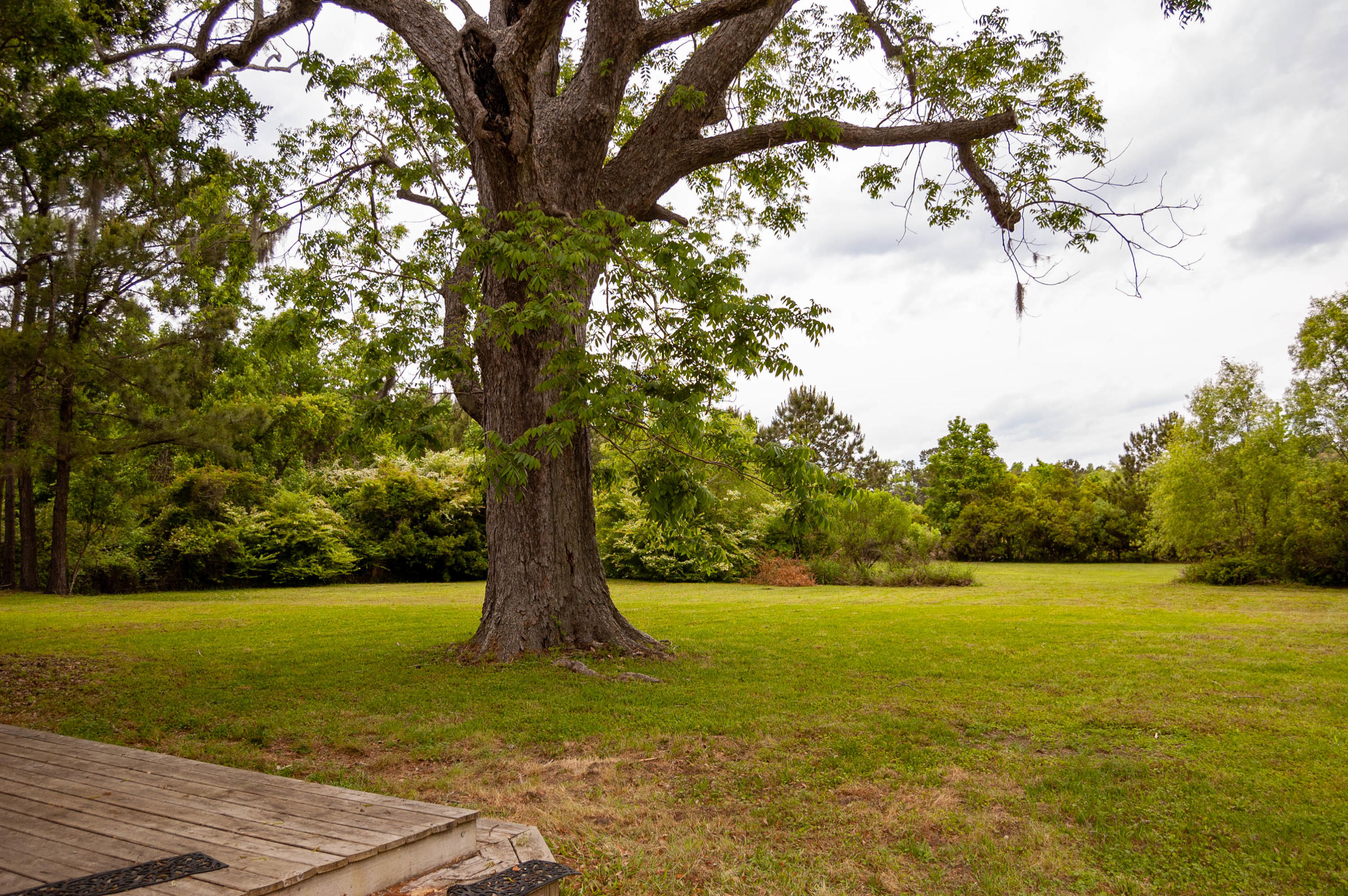 4038 River Road Johns Island, SC 29455 - Photo 3 of 11 DSC_0068
