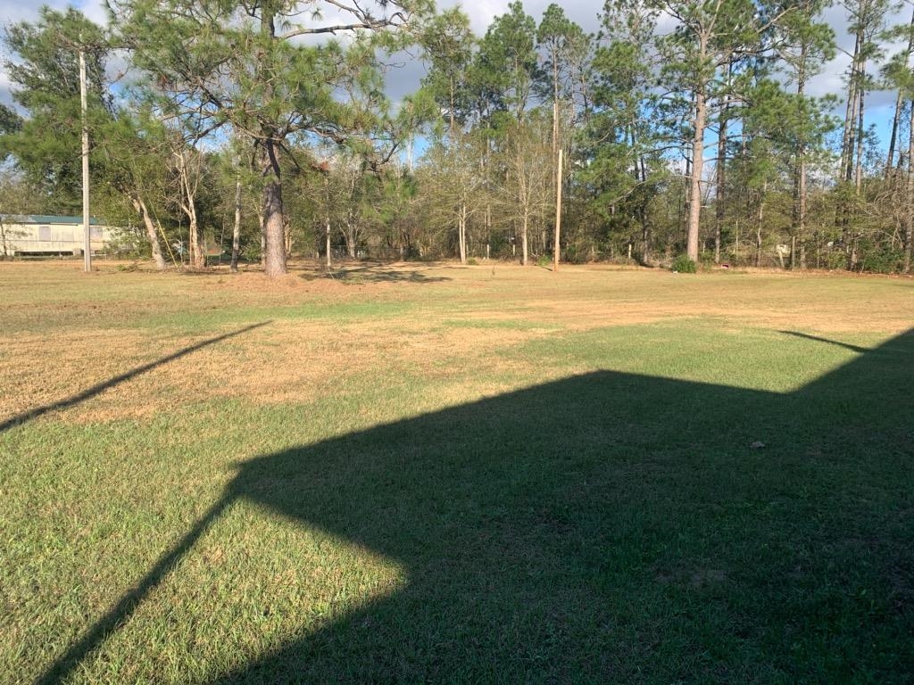 24851 Daw Road Elberta, AL 36530 - Photo 4 of 18