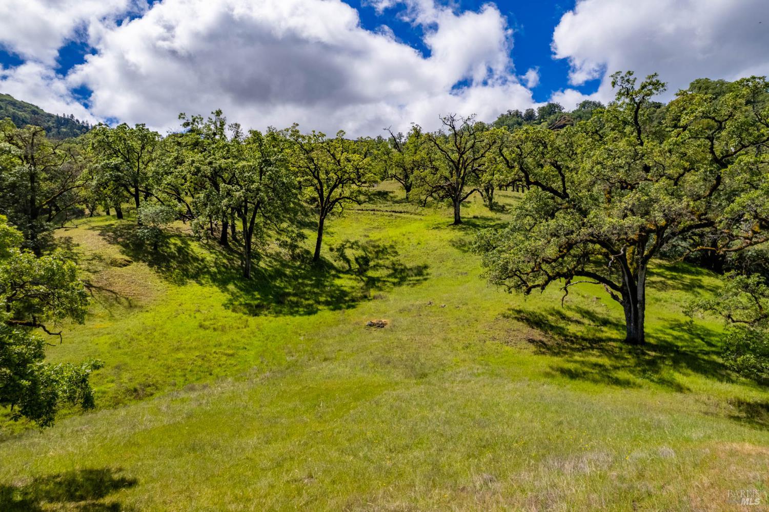 15890 Yorkville Ranch Road Hopland, CA 95449 - Photo 36 of 60