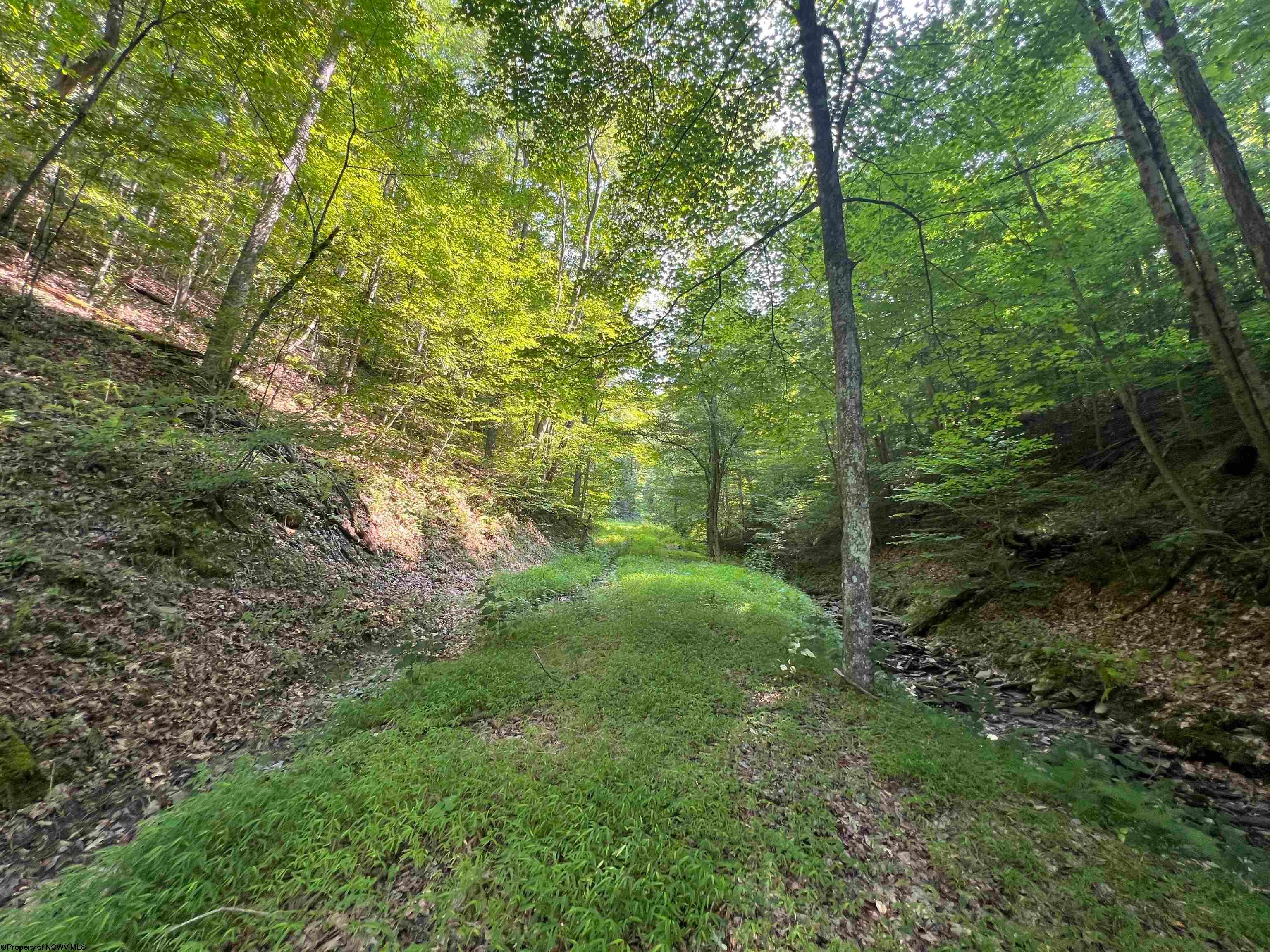 6176 Clover Run Road Parsons, WV 26287 - Photo 34 of 36 Gallery Image 34