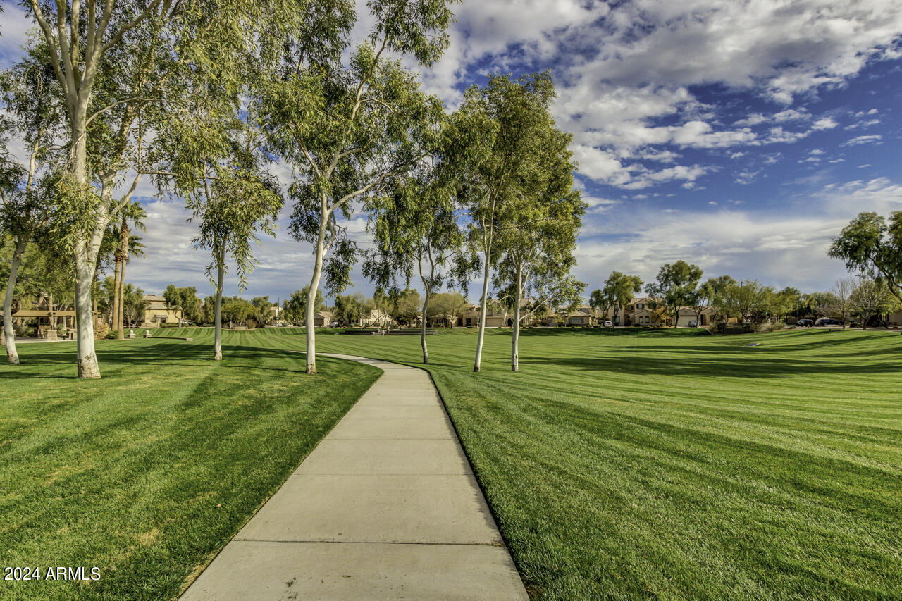3918 South Rim Road Gilbert, AZ 85297 - Photo 43 of 53 Power Ranch (16)