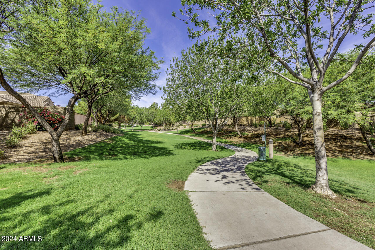 3918 South Rim Road Gilbert, AZ 85297 - Photo 46 of 53 Power Ranch (26)