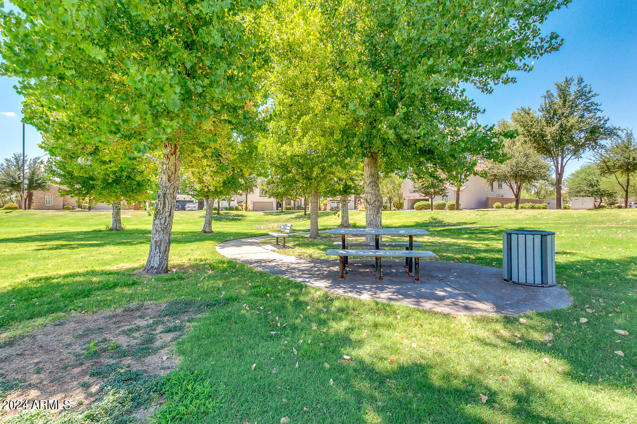 3918 South Rim Road Gilbert, AZ 85297 - Photo 50 of 53 Power Ranch (14)