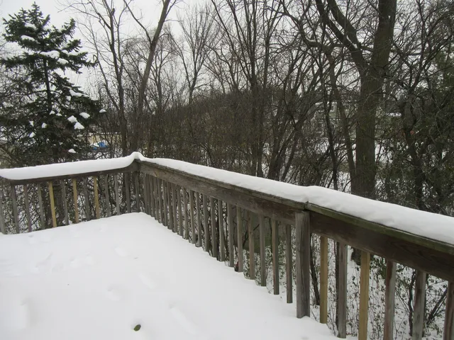 a view of a wooden fence and a trees