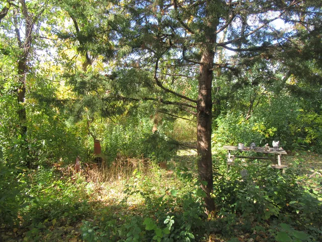 $479,500 | 740 Jr Terrace, Elmhurst, IL 60126