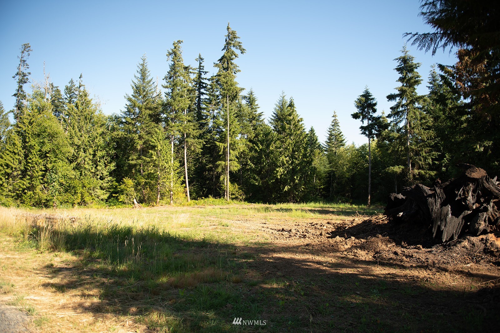 650-38 Logan Hill Road Chehalis, WA 98532 - Photo 28 of 36 a view of a yard with a tree